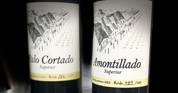 Lanzamiento de Soleras Superior Cayetano del Pino